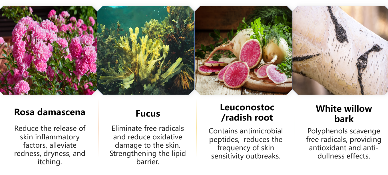 balancing toner mist